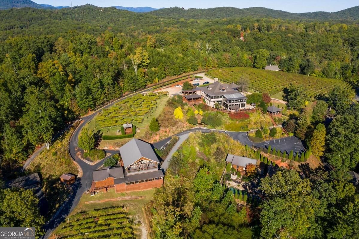 296 Cloudland Dahlonega - Photo 77