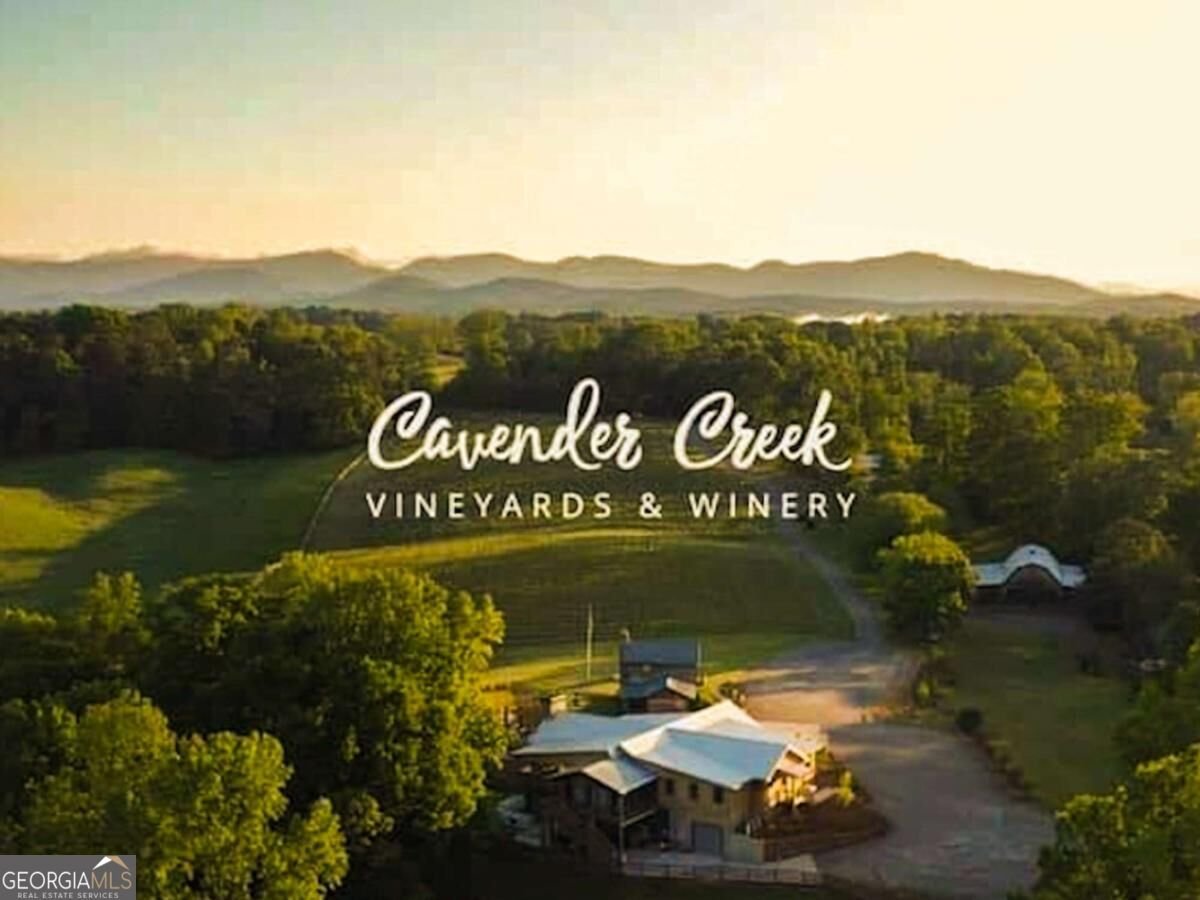 296 Cloudland Dahlonega - Photo 79
