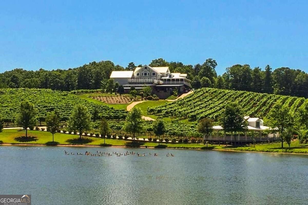 296 Cloudland Dahlonega - Photo 81