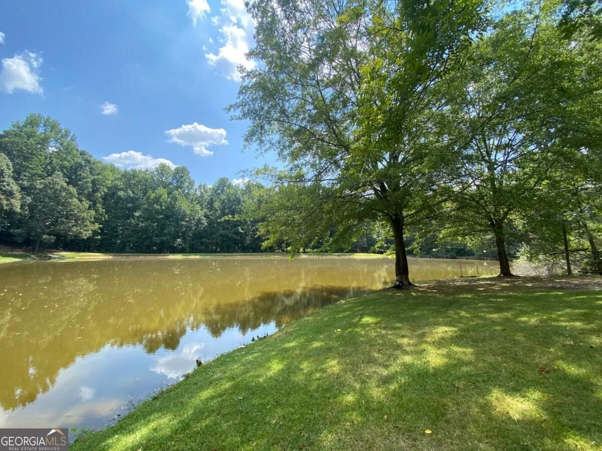 1100 Billy Mcgee Road Lawrenceville - Photo 27