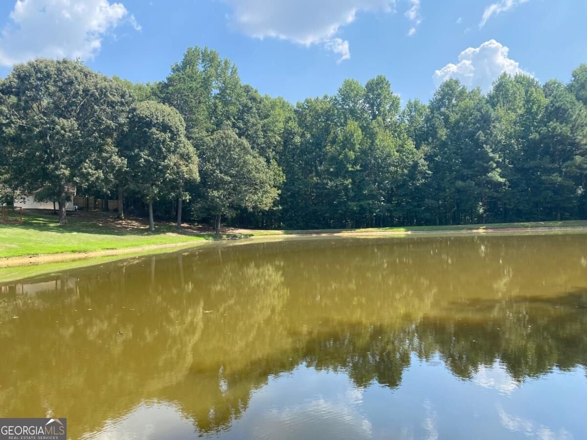 1100 Billy Mcgee Road Lawrenceville - Photo 28