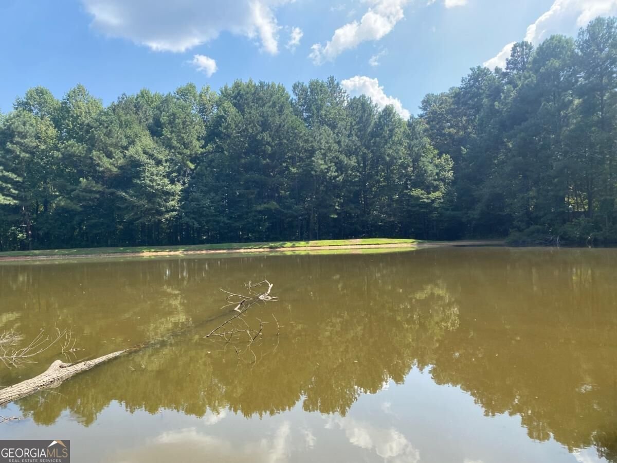 1100 Billy Mcgee Road Lawrenceville - Photo 29