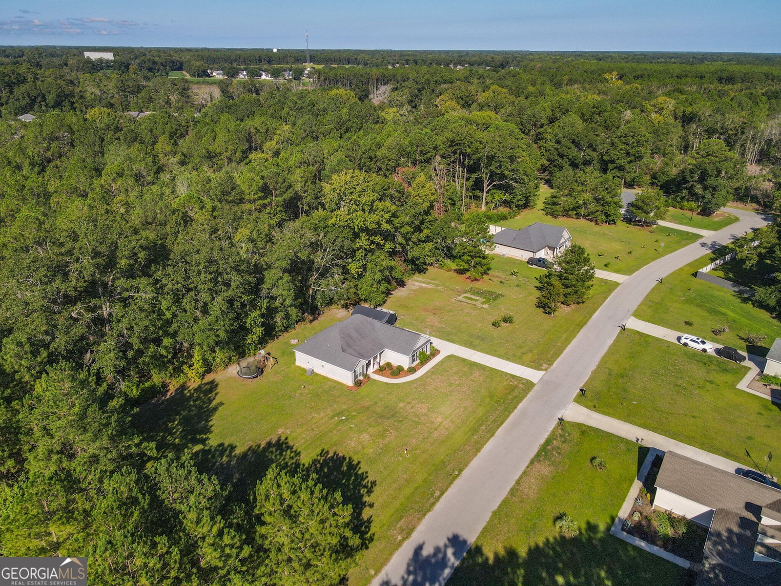 229 Shiloh Drive Brooklet - Photo 38