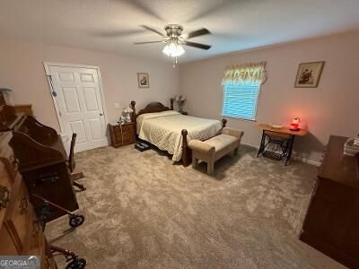95 Meadow Road Swainsboro - Photo 19