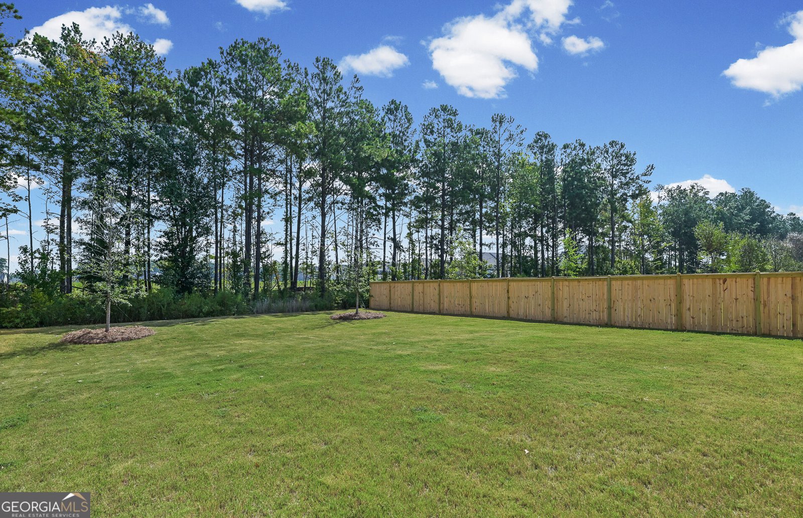 480 Dahlia Street Mcdonough - Photo 27