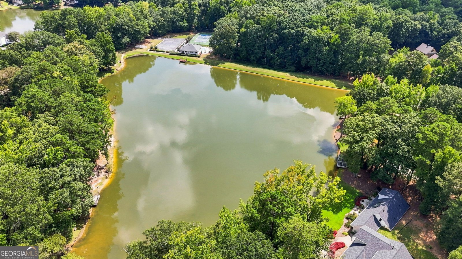 165 Rebecca Court Fayetteville - Photo 92