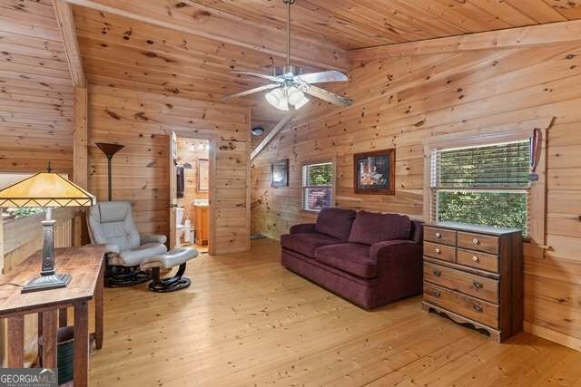 717 Evergreen Lane Mineral Bluff - Photo 33