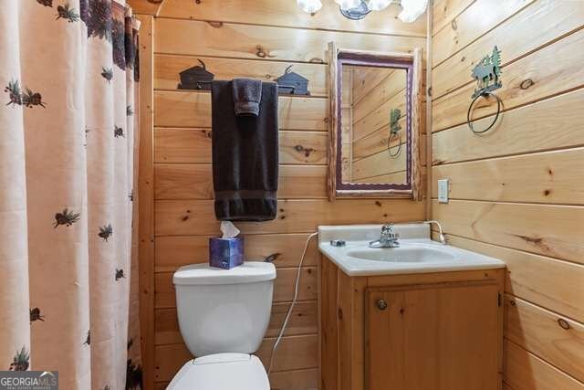 717 Evergreen Lane Mineral Bluff - Photo 36