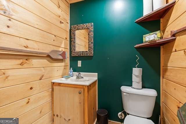 717 Evergreen Lane Mineral Bluff - Photo 42