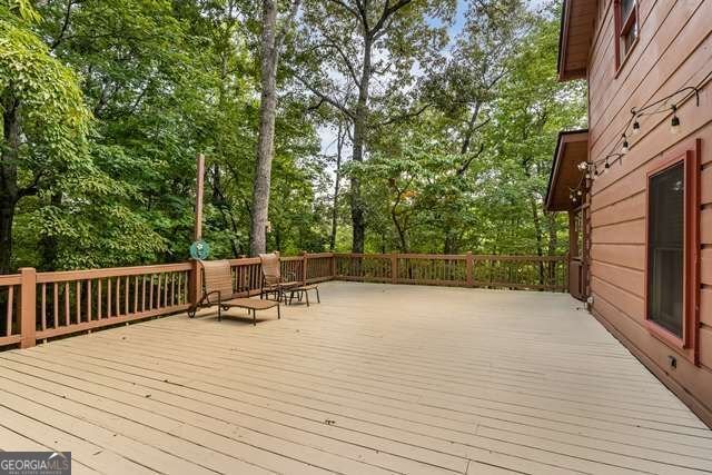 717 Evergreen Lane Mineral Bluff - Photo 45