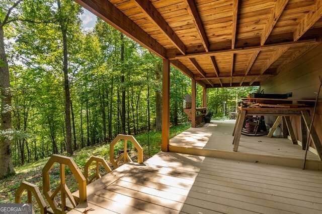 717 Evergreen Lane Mineral Bluff - Photo 54