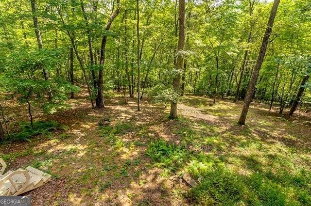 717 Evergreen Lane Mineral Bluff - Photo 58