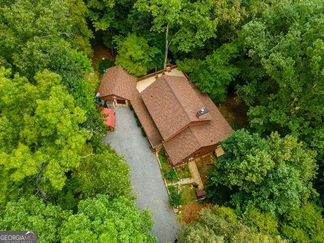 717 Evergreen Lane Mineral Bluff - Photo 64