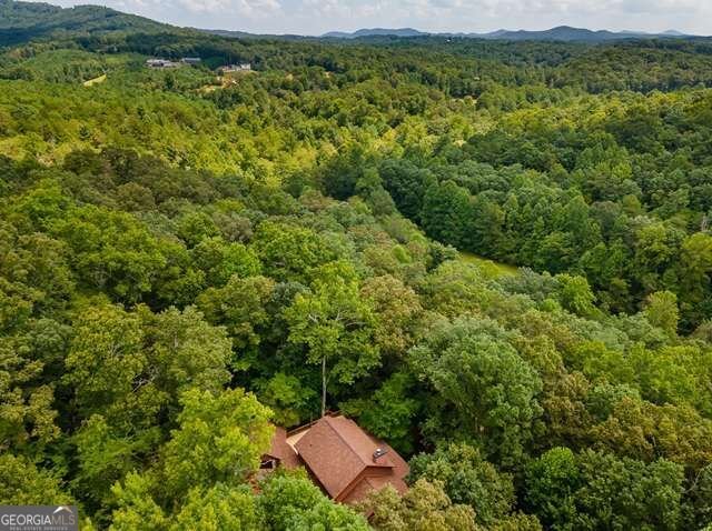 717 Evergreen Lane Mineral Bluff - Photo 67
