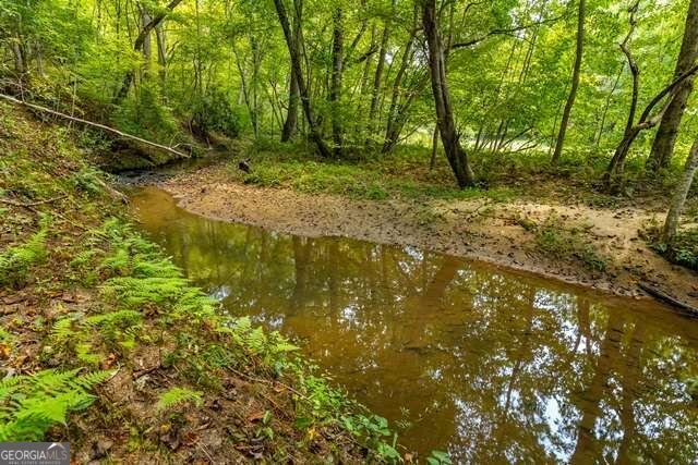 717 Evergreen Lane Mineral Bluff - Photo 8