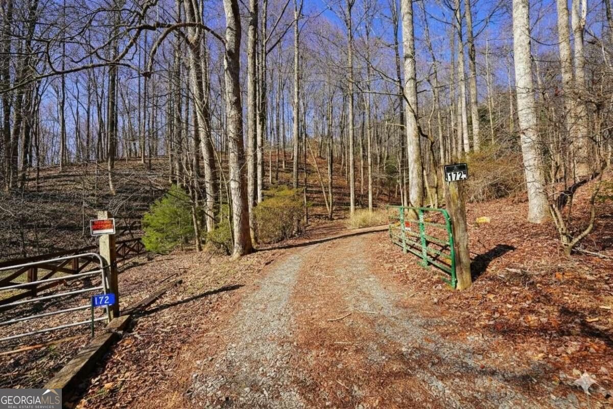 172 Sweetwater Road Blue Ridge - Photo 10