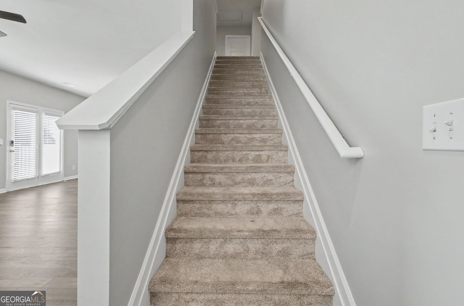 19 White Spruce Way Newnan - Photo 24