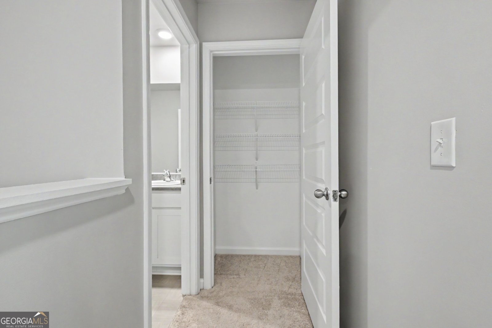 19 White Spruce Way Newnan - Photo 42