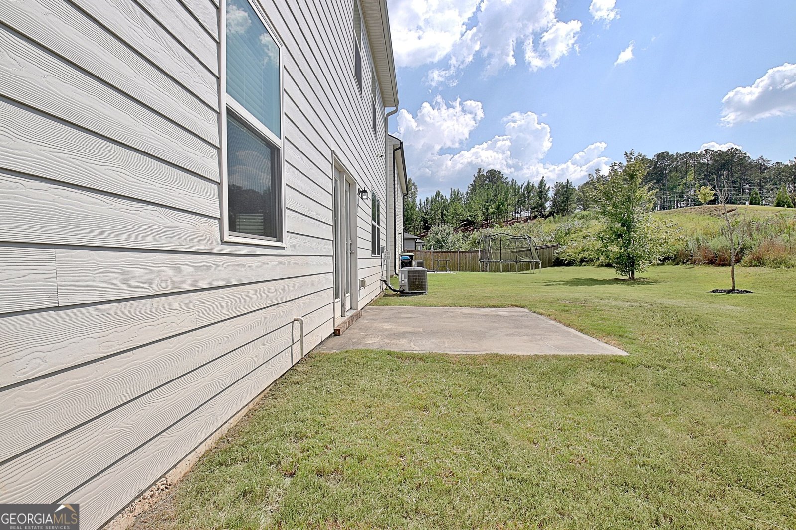 19 White Spruce Way Newnan - Photo 46