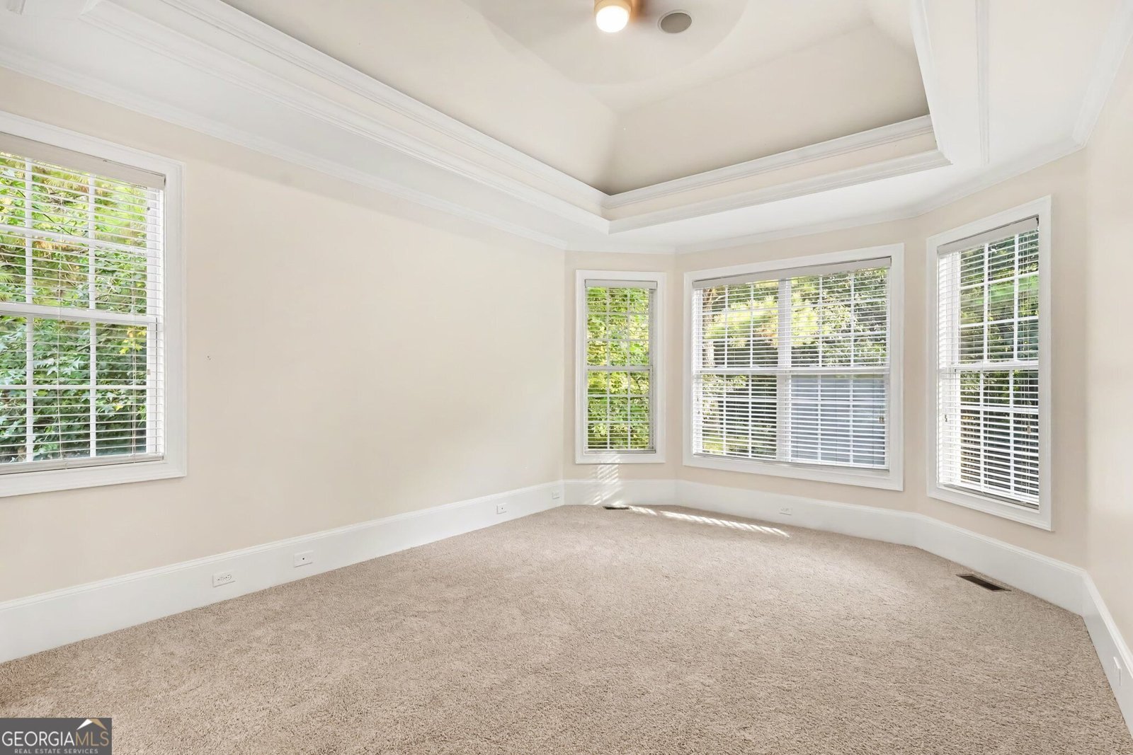313 Fallstone Path Mcdonough - Photo 14