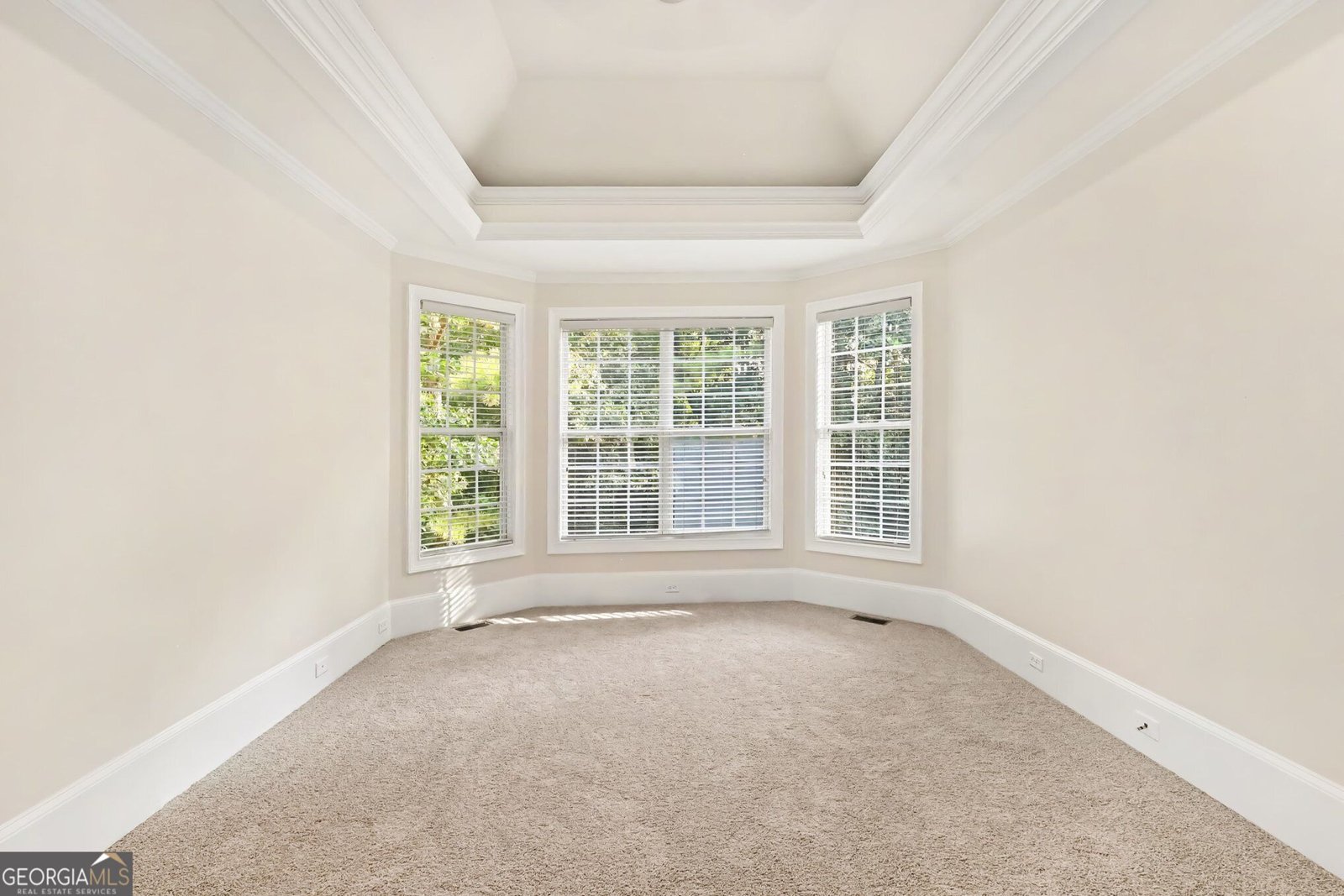 313 Fallstone Path Mcdonough - Photo 15