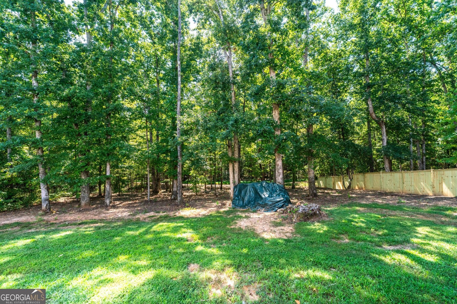 237 Ivey Drive Bethlehem - Photo 56