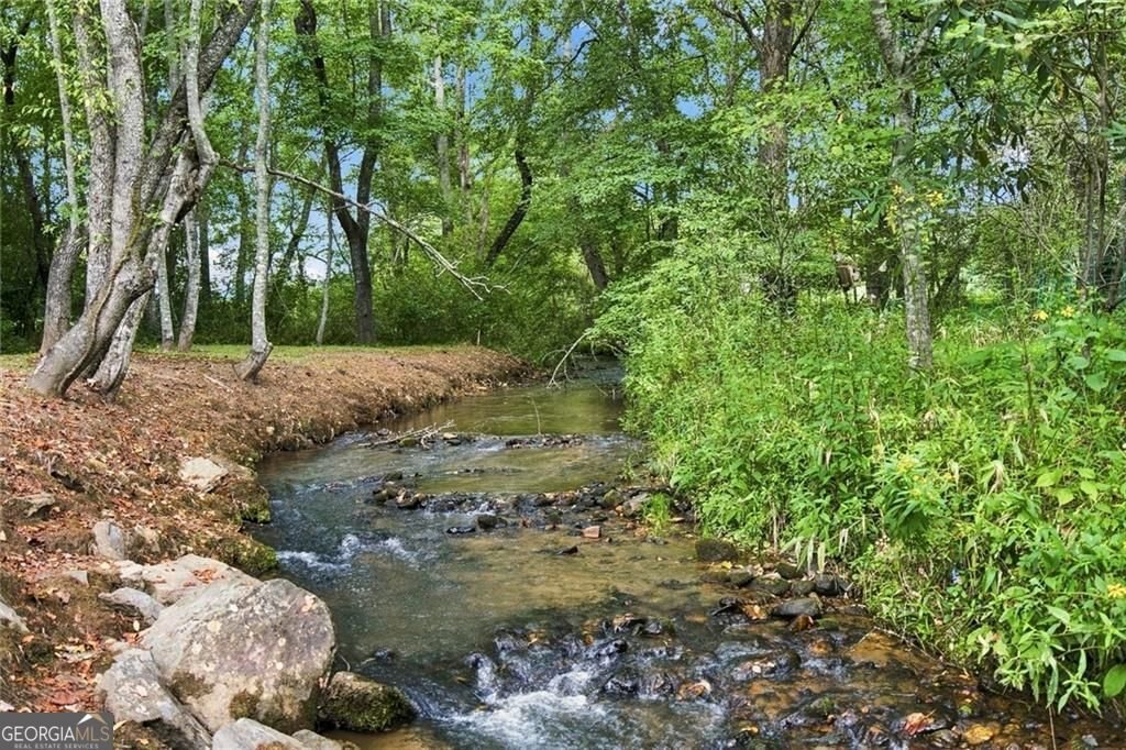 33 Pigeon Creek Drive Blue Ridge - Photo 14