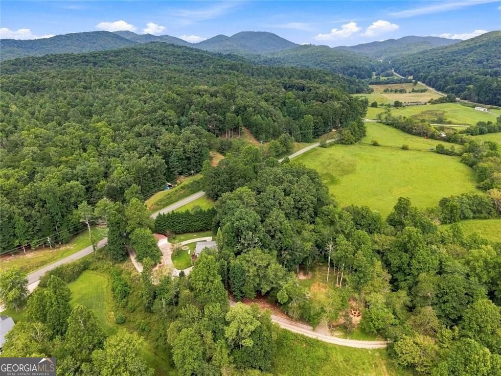 33 Pigeon Creek Drive Blue Ridge - Photo 16