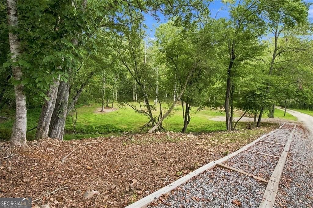 33 Pigeon Creek Drive Blue Ridge - Photo 24