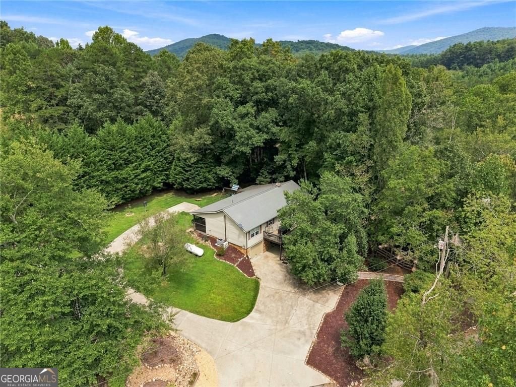 33 Pigeon Creek Drive Blue Ridge - Photo 42
