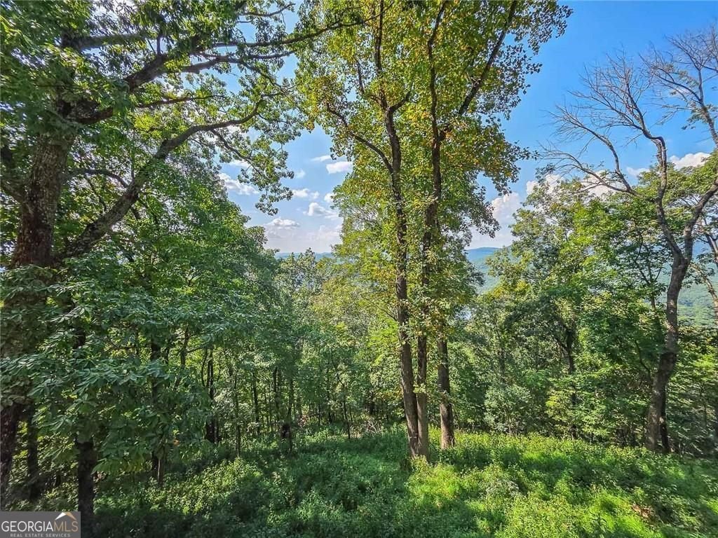 493 Starcross Lane jasper - Photo 40