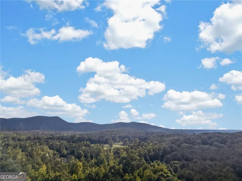 456 Valley Road Rydal - Photo 86