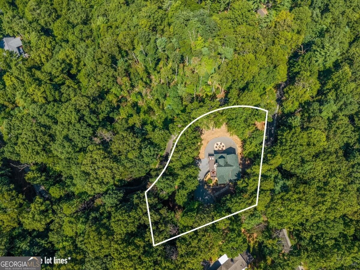 35 Dora Lane Ellijay - Photo 51
