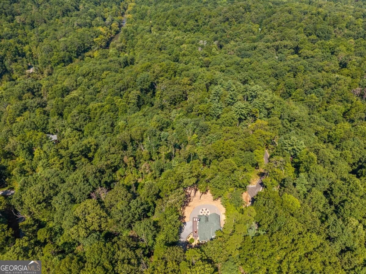 35 Dora Lane Ellijay - Photo 52