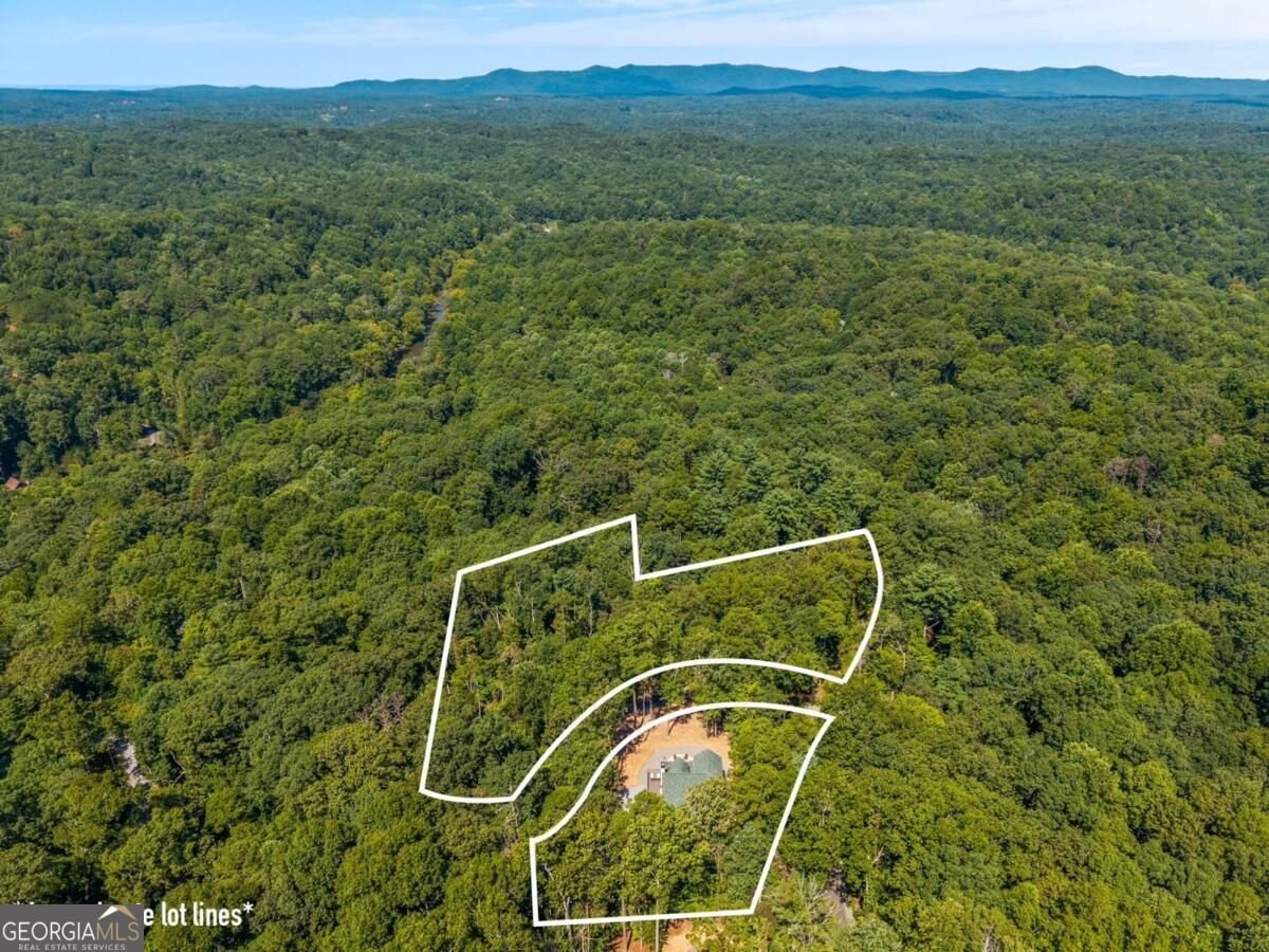 35 Dora Lane Ellijay - Photo 55