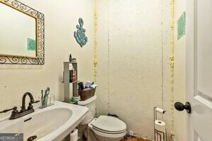 357 Shady Creek Trail Williamson - Photo 34