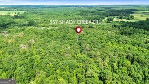 357 Shady Creek Trail Williamson - Photo 36