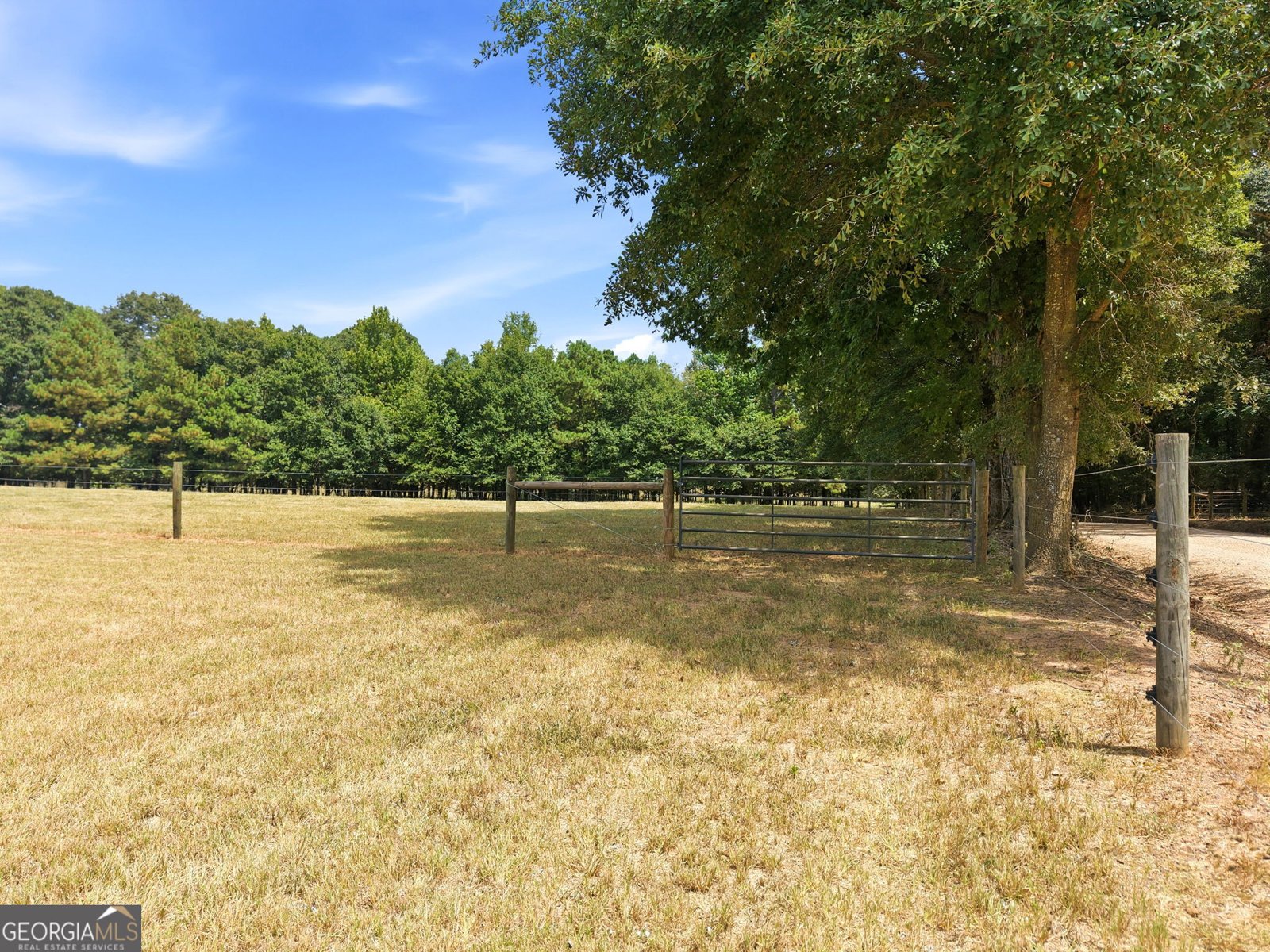3350 Waggoners Grove Church Road Colbert - Photo 44