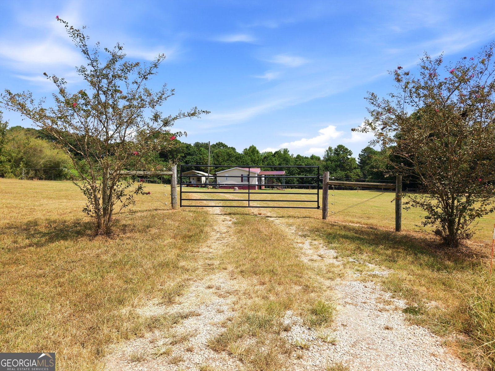3350 Waggoners Grove Church Road Colbert - Photo 47