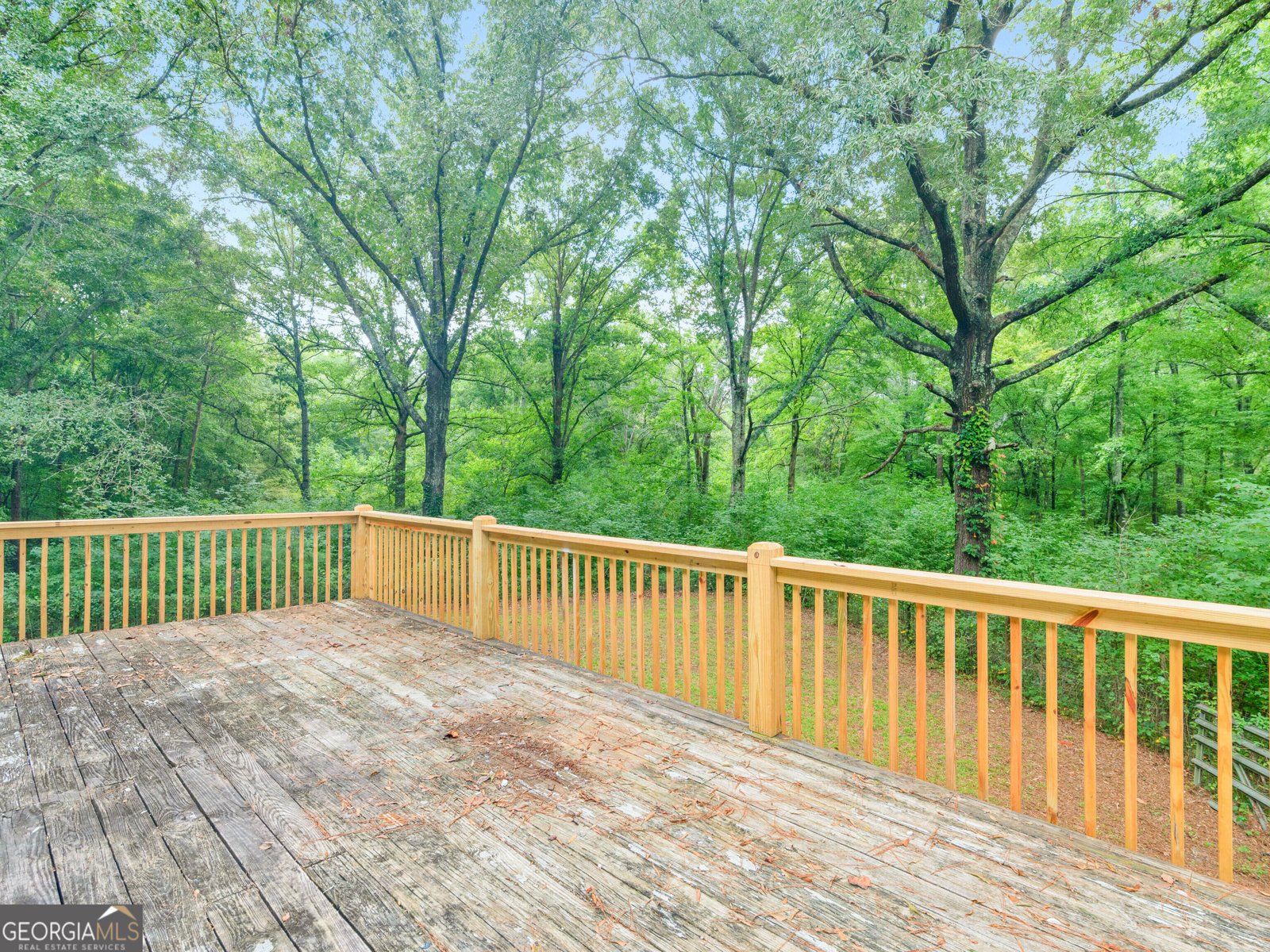 2172 Garner Road Gay - Photo 44