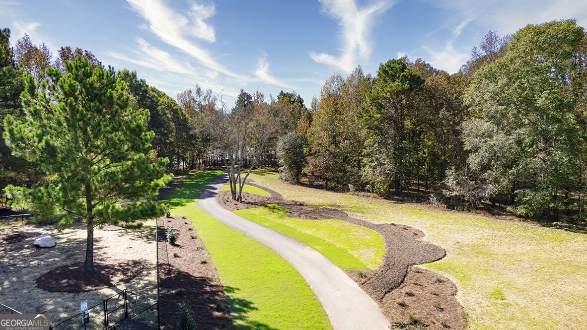 131 Champlain Road Hoschton - Photo 49