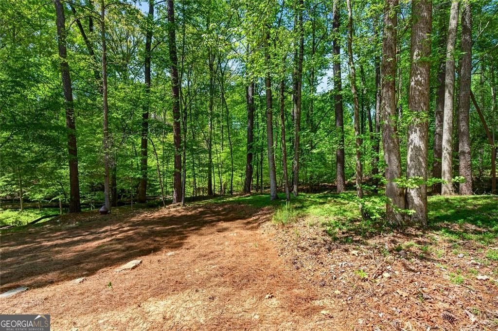 2090 Double Creek Lane Alpharetta - Photo 43