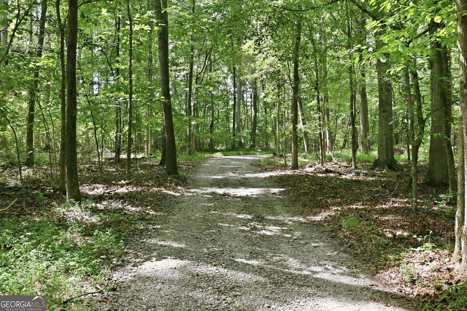 4829-A Old Pendergrass Road Jefferson - Photo 4