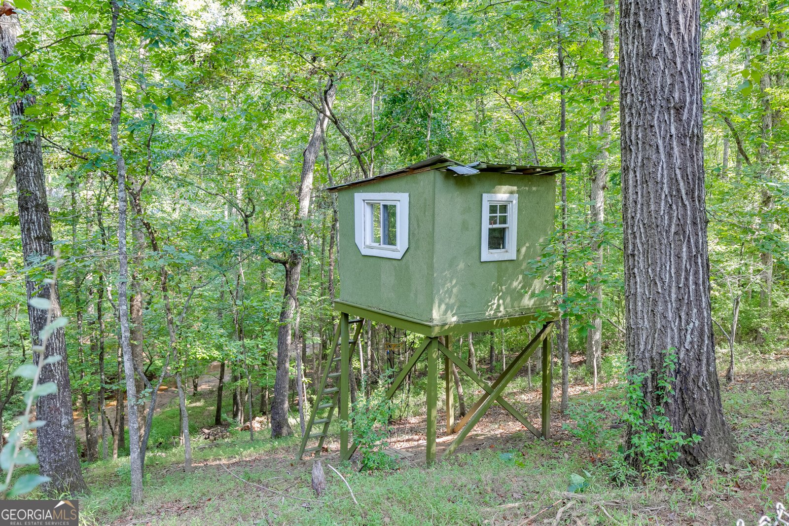 1340 Calls Creek Circle Watkinsville - Photo 49