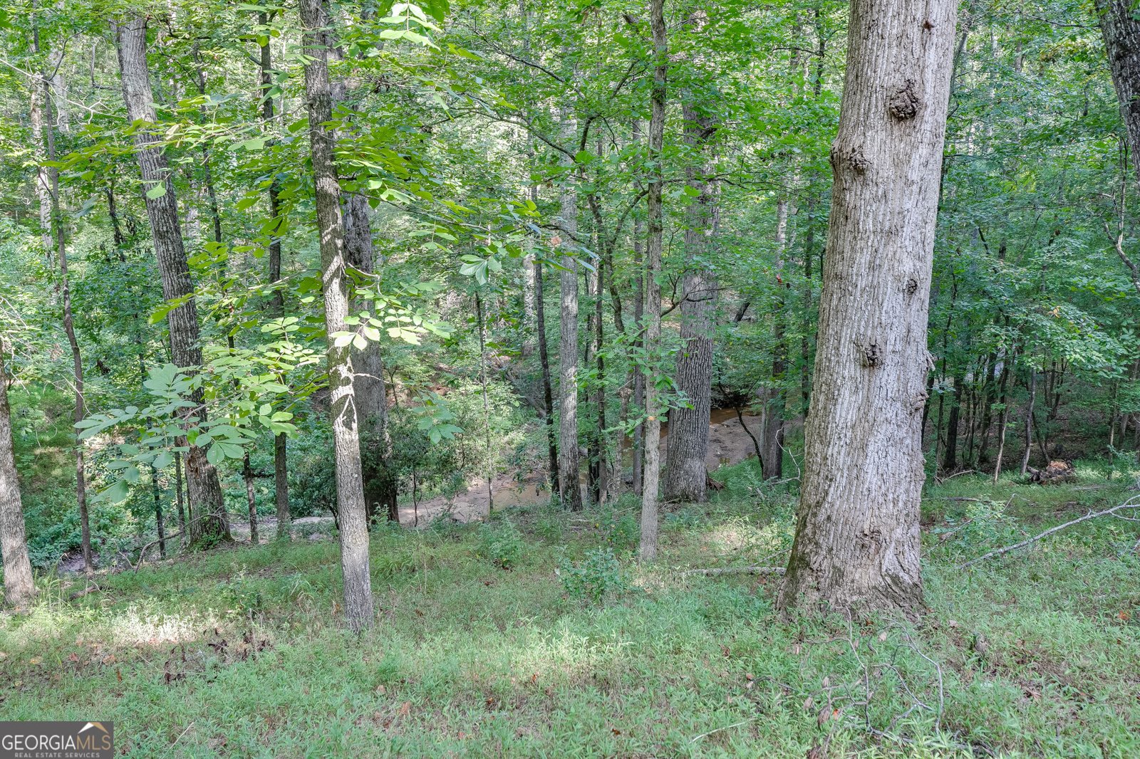 1340 Calls Creek Circle Watkinsville - Photo 50