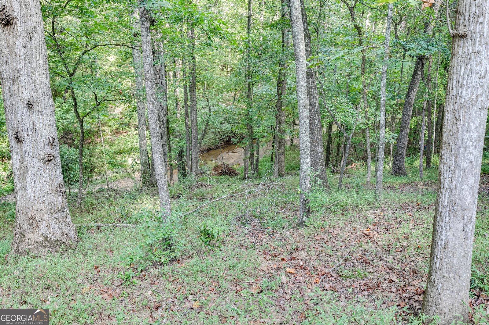 1340 Calls Creek Circle Watkinsville - Photo 51