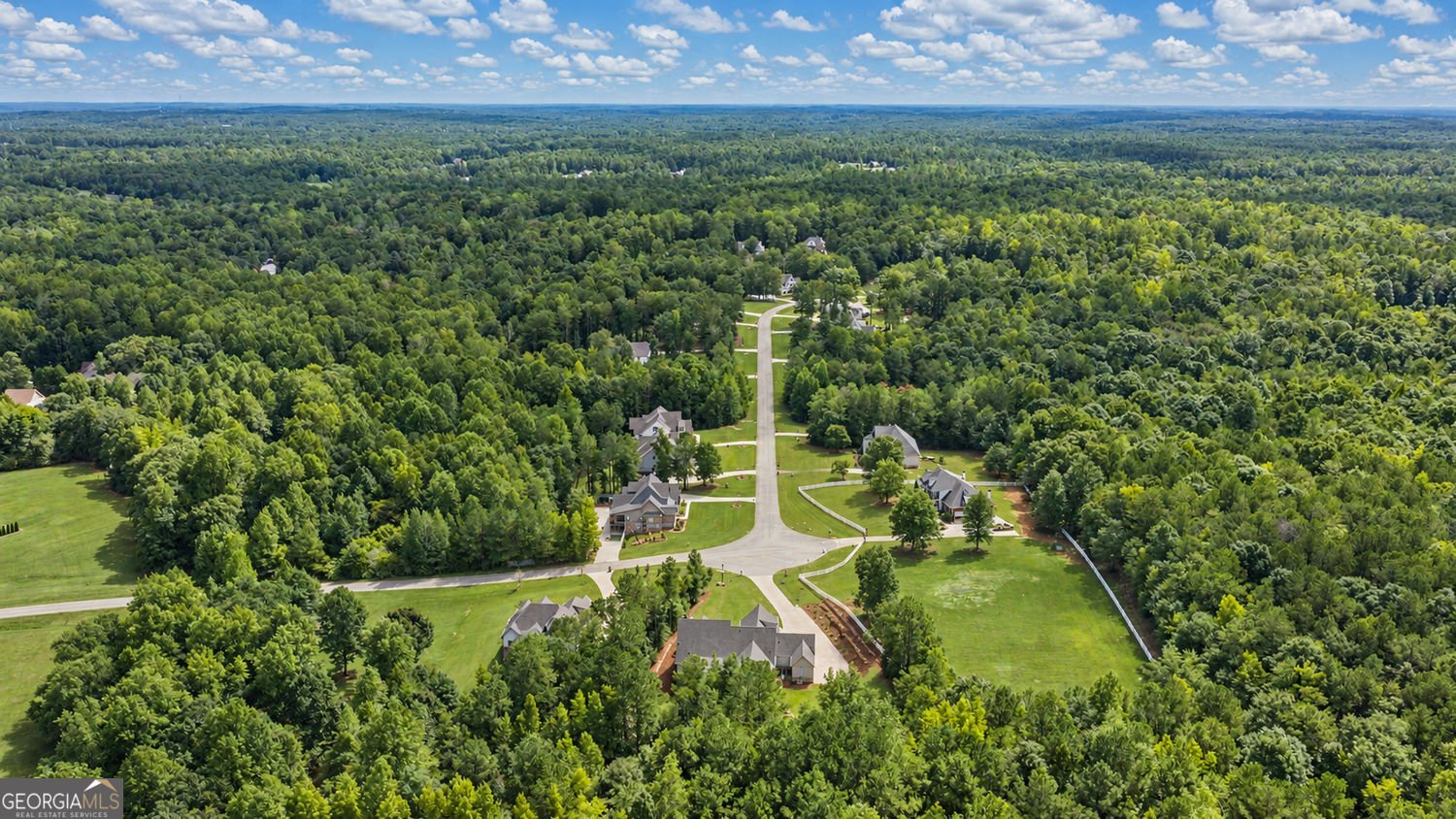 220 Preakness Way Forsyth - Photo 75