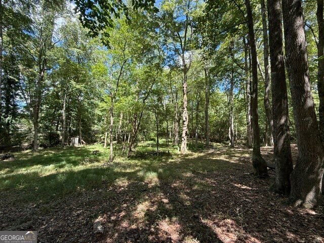 145 Log Cabin Road Milledgeville - Photo 13