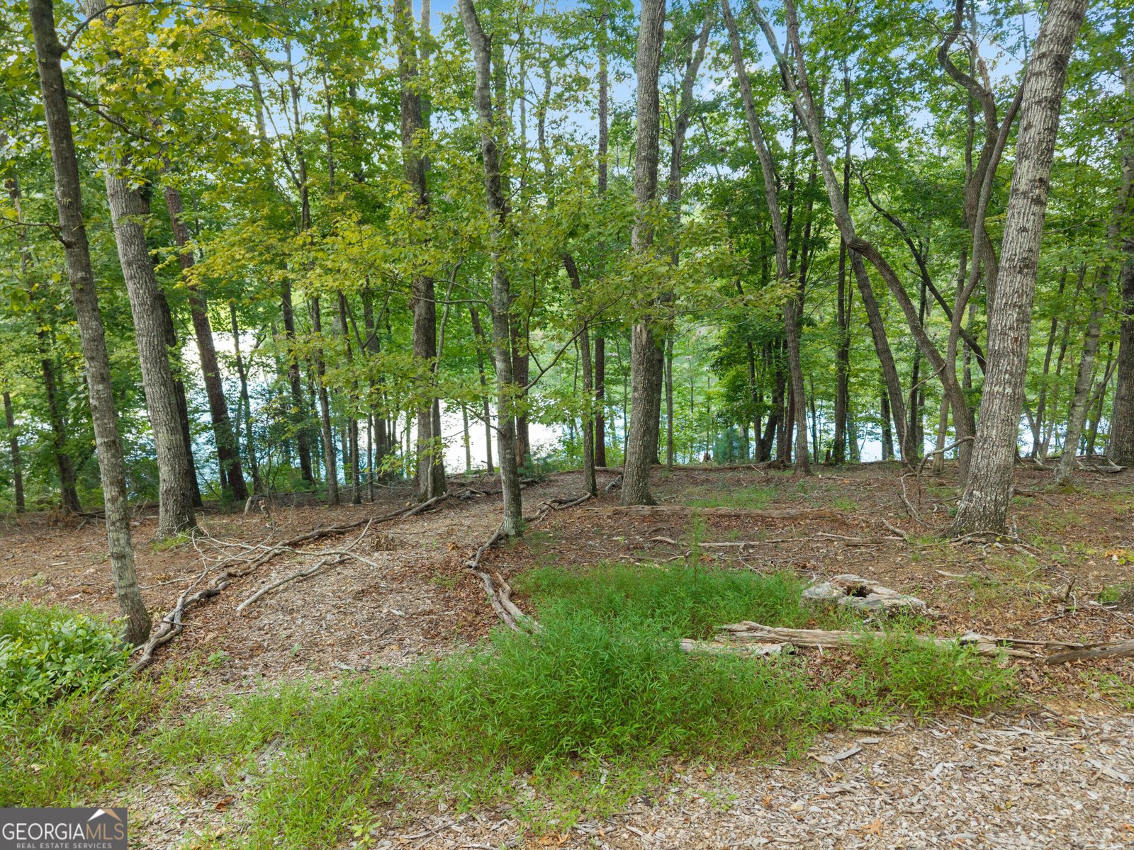 501 High Meadow Lakes Rd Clarkesville - Photo 37