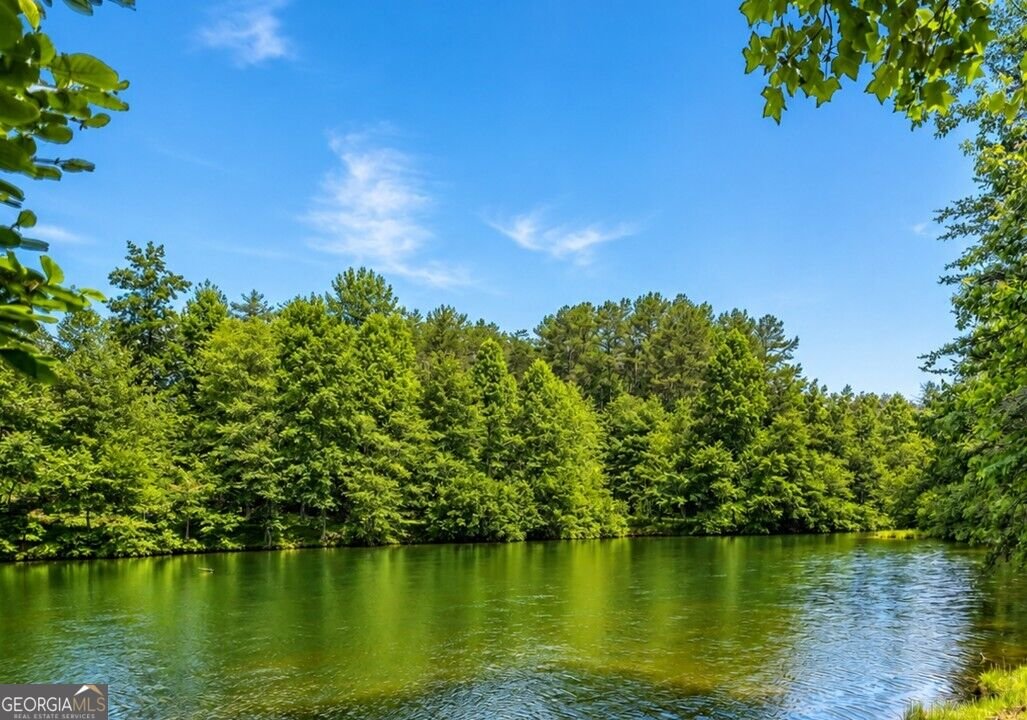 501 High Meadow Lakes Rd Clarkesville - Photo 40